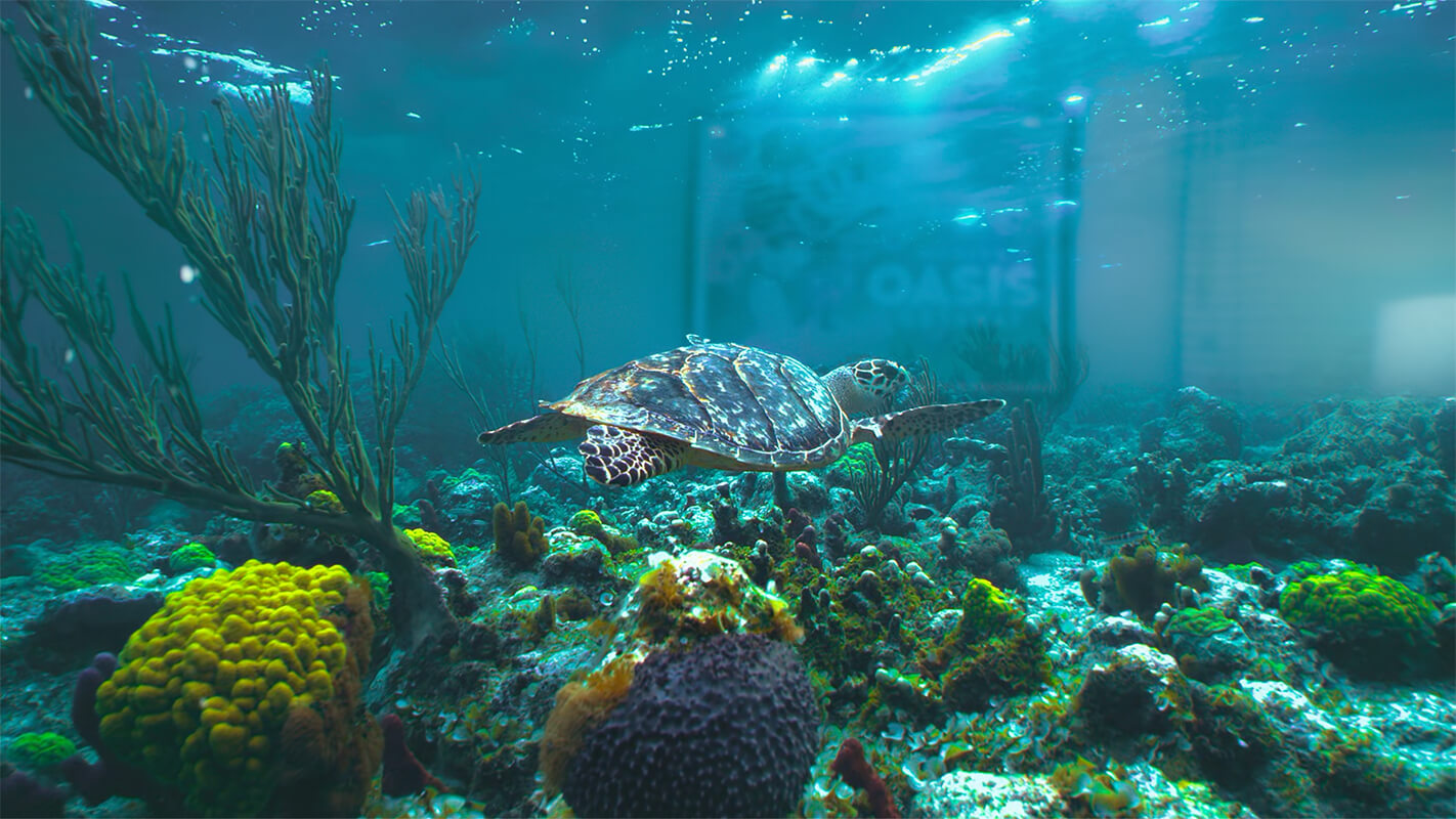 Apple Vision Pro Sea Turtle