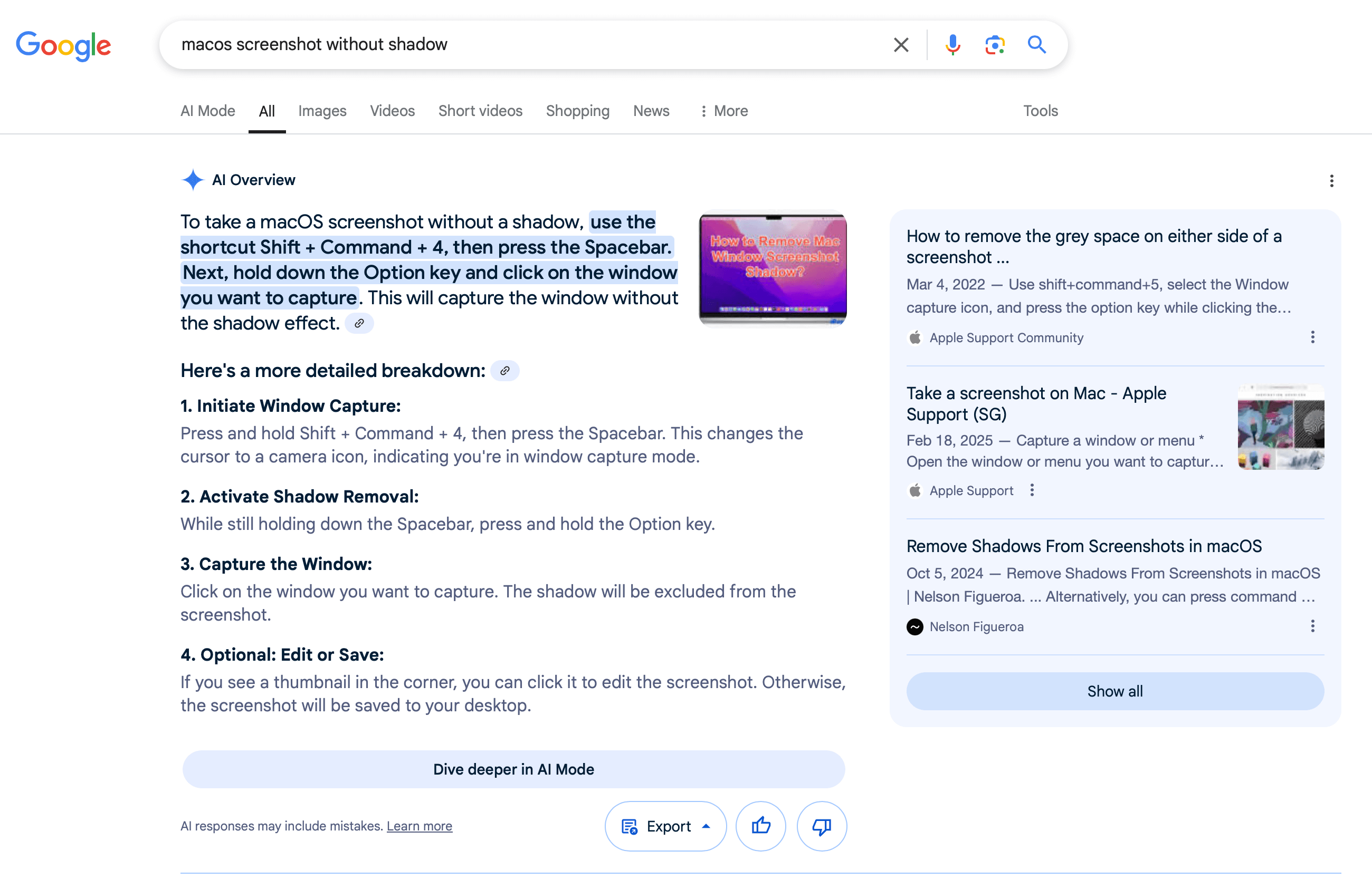 Google AI Overview for macOS screenshot without a shadow
